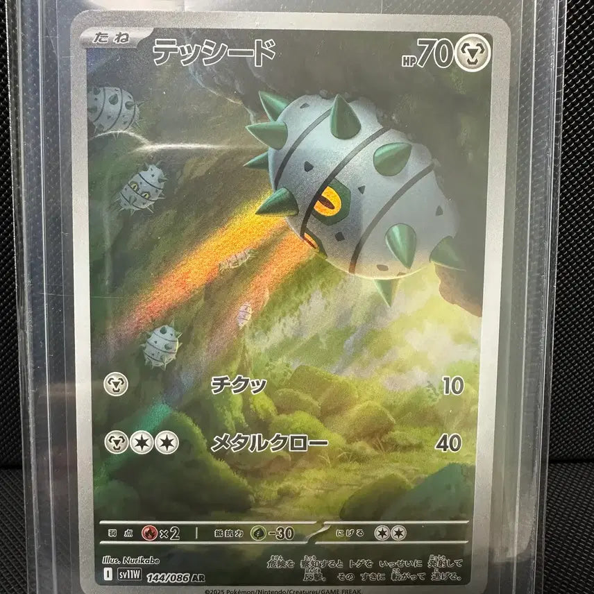 [BUNJANG] Pokemon Cards Japanese AR 5 Types Bundle Set / 철시드, 레파르다스 일판 ar 일괄 판매