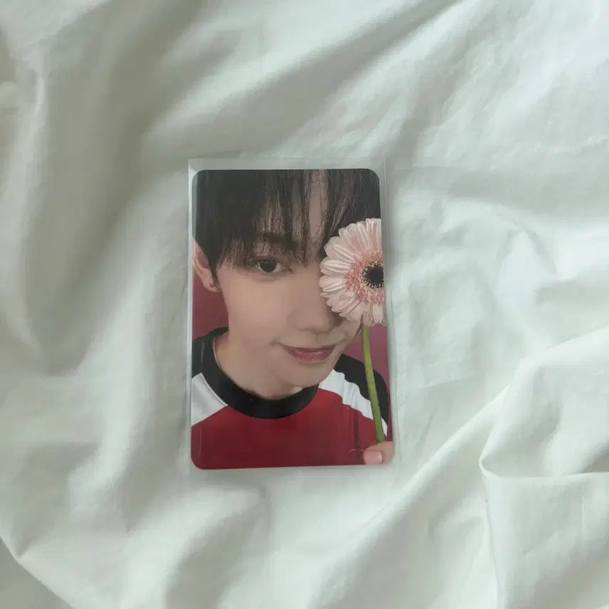 [BUNJANG] Panzeri Photocard / 판저이 포카 양도