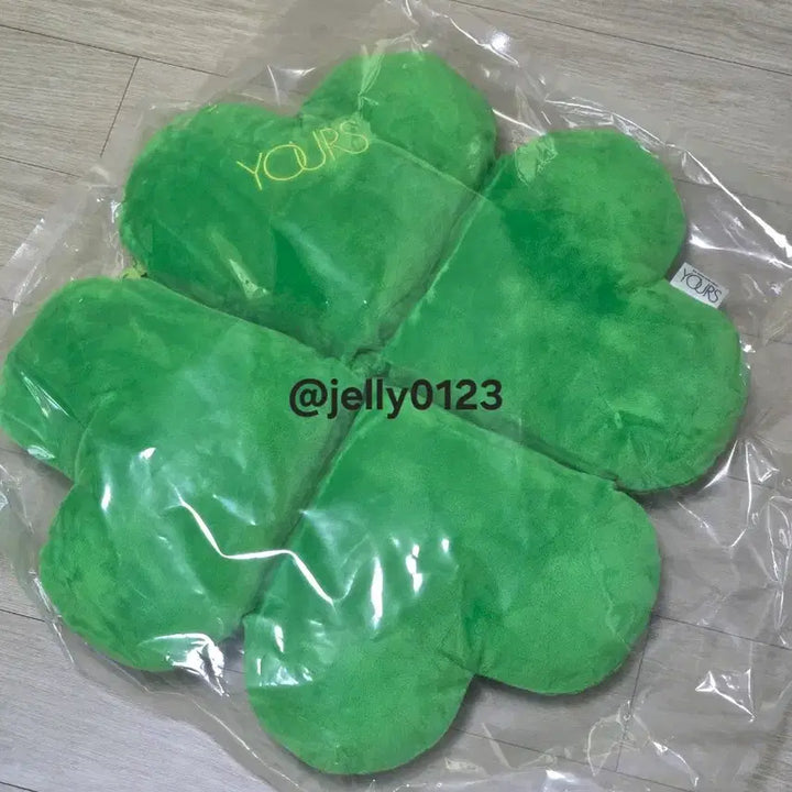 [BUNJANG] Doyoung Yours Concert Cushion / 도영 유어스 콘서트 방석 yours