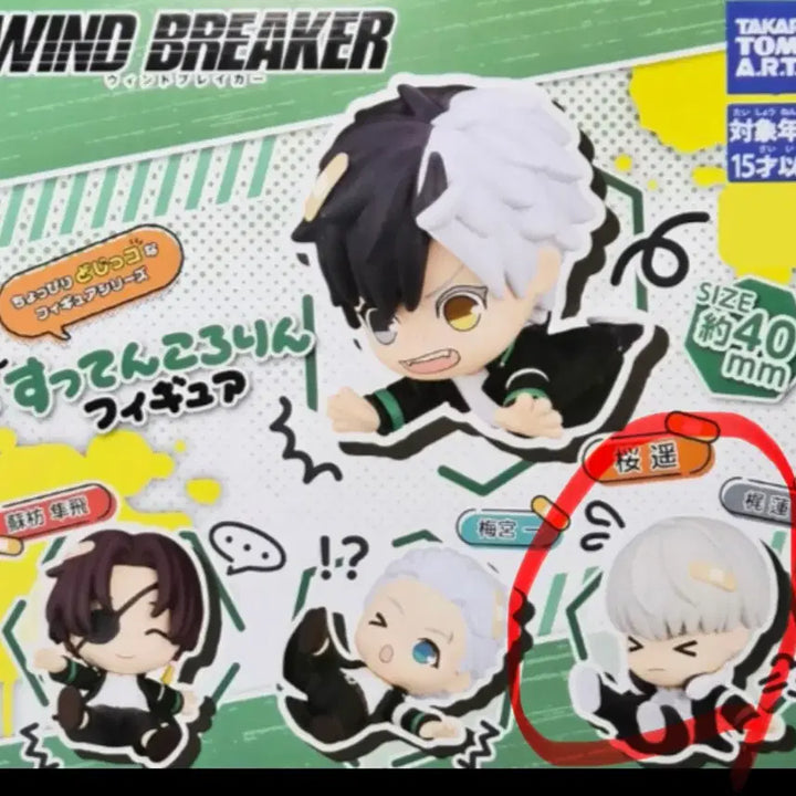 [BUNJANG] Wind Breaker Kaziren &