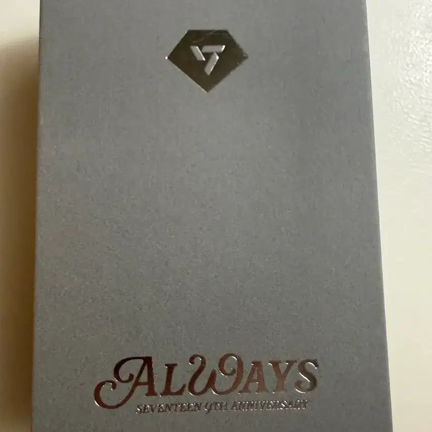 [BUNJANG] SEVENTEEN 9th Anniversary Necklace / 세븐틴 9주년 목걸이