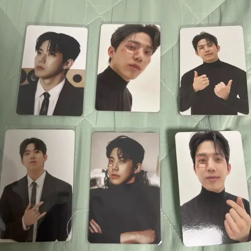[BUNJANG] DAY6 Young K Photocard / 도운 6종(하나당)