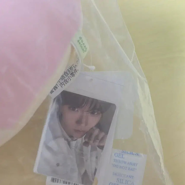 [BUNJANG] NCT WISH Jaehee DENTRINI Cushion (Sealed) / 미개봉/ 댕트리니 쿠션 위시니니 팝업 엔시티위시 재희