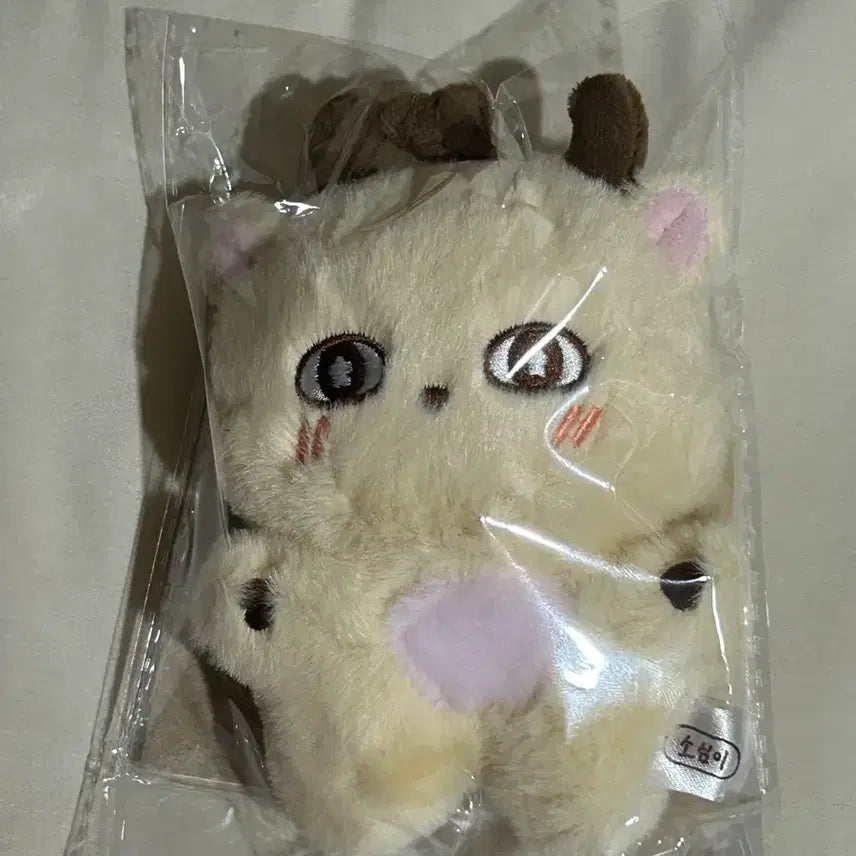 [BUNJANG] Park Ji Hoon "So Sim Yi" Doll Sealed / 미개봉 박지훈 인형 소심이 양도 왕사남 약한영웅 포카 팝업