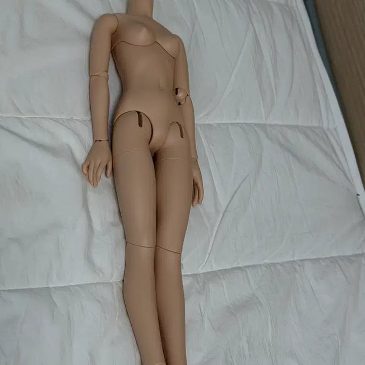 [BUNJANG] LinaShoSho Ten Skin Female Body BJD Doll / 리나슈슈 텐스킨 여아바디 구체관절인형