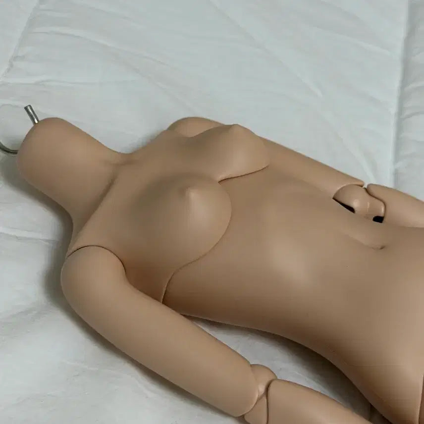 [BUNJANG] LinaShoSho Ten Skin Female Body BJD Doll / 리나슈슈 텐스킨 여아바디 구체관절인형