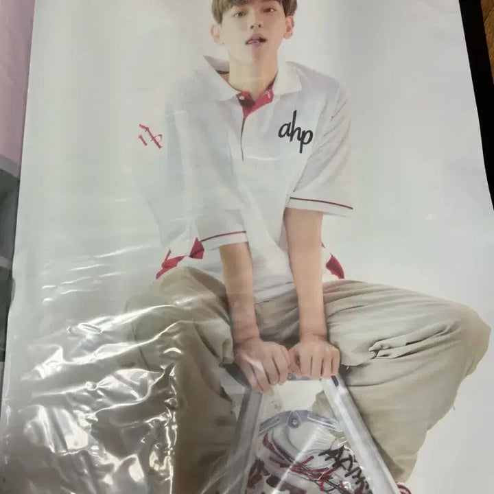[BUNJANG] Baekhyun Delight &amp; Bambi Poster Set / 백현 Delight, bambi 포스터