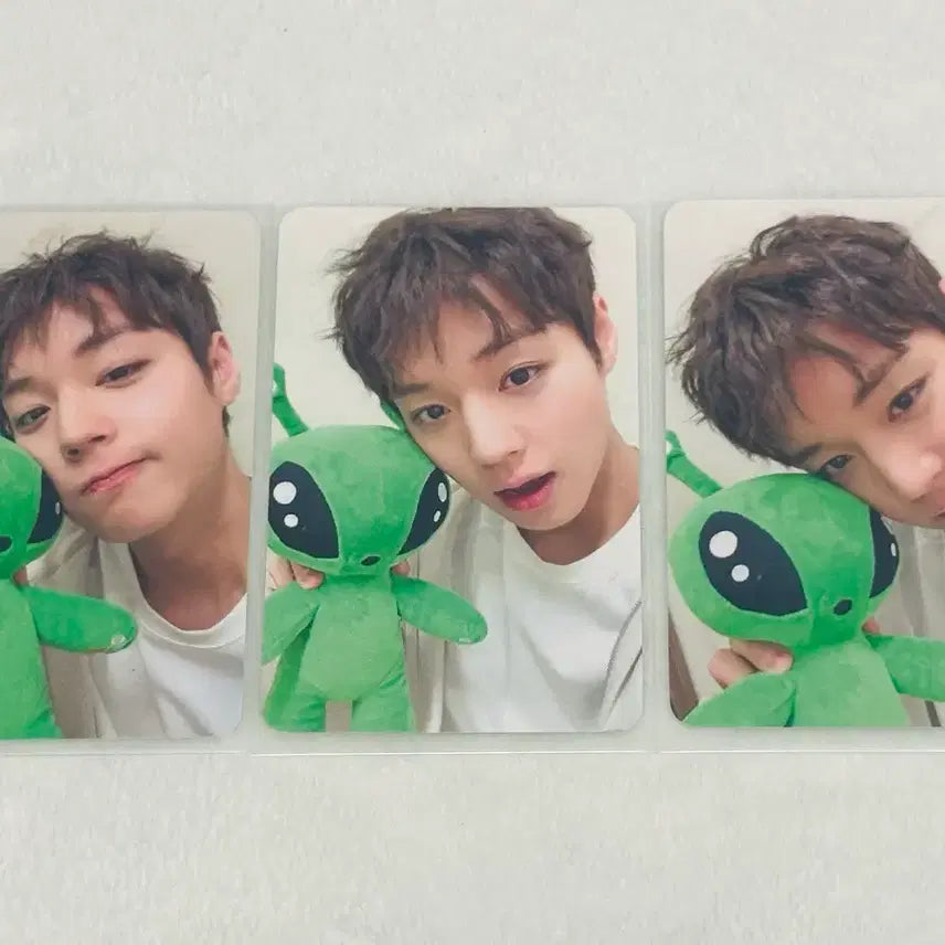 [SOLD OUT] 박지훈 왹져후니 사웨 미공포