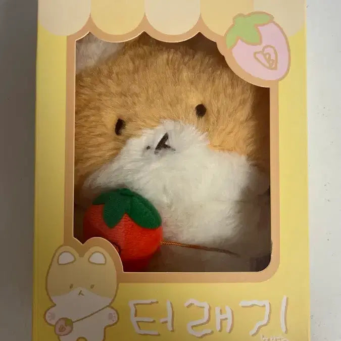 [BUNJANG] EXO Baekhyun Plush Doll / 엑소 백현 터래기 인형 양도