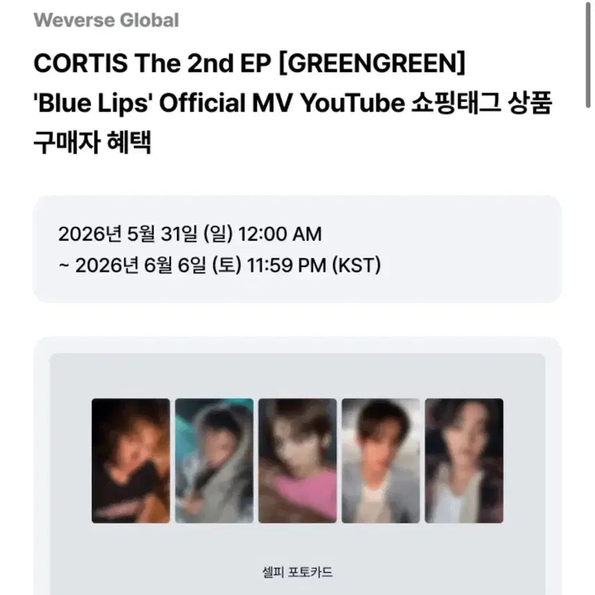 [BUNJANG] KORTIZ YouTube Gift Photocard Split Set / 코르티스 블루립 유튜브 기프트 분철