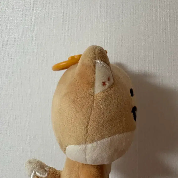 [BUNJANG] Day6 Denimals 24 Ver. Doll / 구버전 데이식스 데니멀즈 24 케