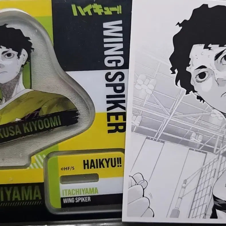 [BUNJANG] Haikyuu!! Sakusa Kiyoomi Original Drawing Figure Acrylic Stand &amp; Chronicle Original Card Bundle Set / 일괄) 하이큐 사쿠사 키요오미 원화피겨 아크릴스탠드&amp;크로니클원화포카급처