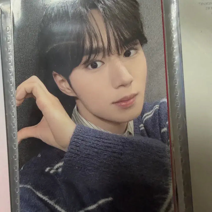 [BUNJANG] ALPHADRIVEONE RD1 Junseo Twosome Place Half Heart Photocard POB / 알파드라이브원 알디원 준서 뚜레쥬르 반쪽하트 포카 미공포
