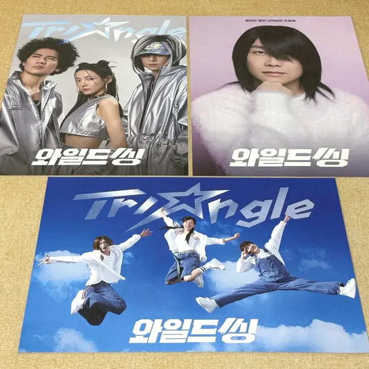 [BUNJANG] Wild Things Original Ticket Poster / 와일드 씽 포스터 트라이앵글 포스터 최성곤 포스터