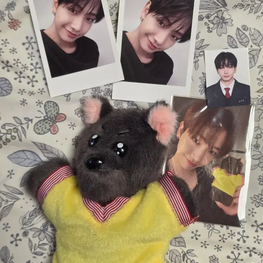 [BUNJANG] BOYNEXTDOOR Myung Jaehyun Polaroid Photo / 보이넥스트도어 보넥도 명명이 명재현 폴라 증사