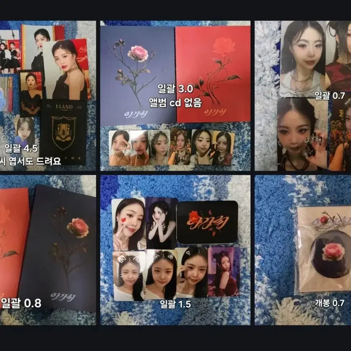 [BUNJANG] Seo Soojin Album AGASSI Pop-up Photocard Tin Case Grip Tok Bundle Set / 서수진 앨범 아가씨 팝업 포카 포토카드 틴케이스 그립톡