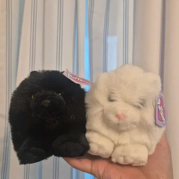 [BUNJANG] Puffkins Cat Plush Black/White Bundle Set / 퍼프킨스 고양이 인형 블랙/화이트