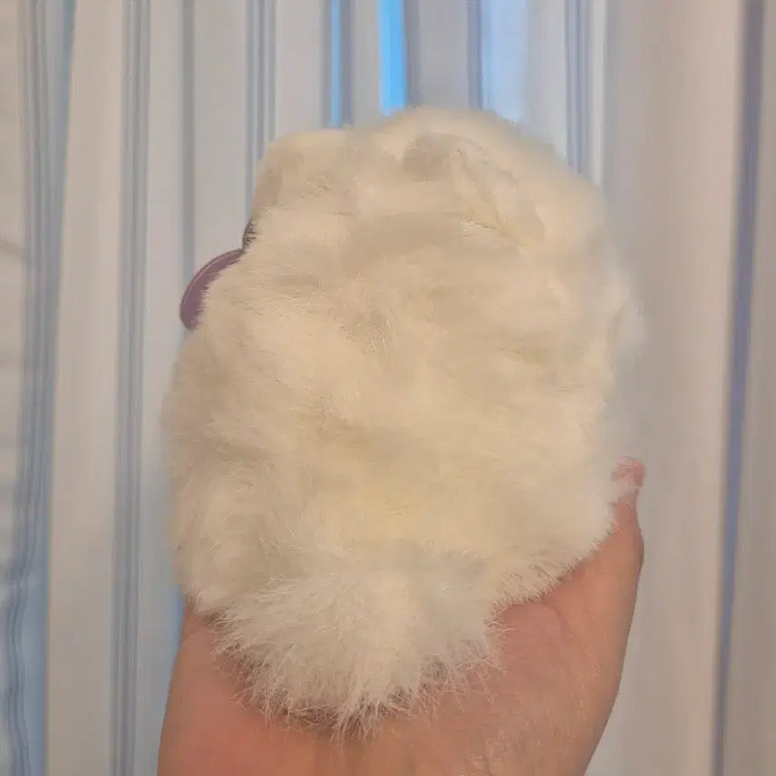 [BUNJANG] Puffkins Cat Plush Black/White Bundle Set / 퍼프킨스 고양이 인형 블랙/화이트