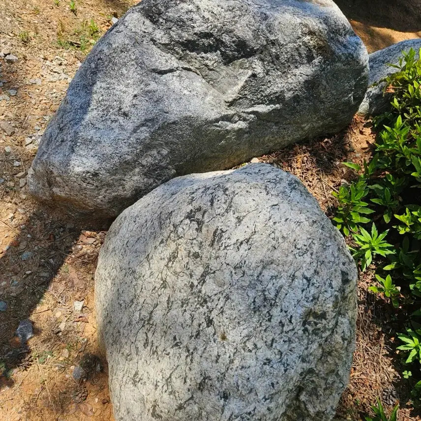 [BUNJANG] Natural Stone Landscaping Rocks (Gangwon-do Yangyang) / 자연석 팝니다
