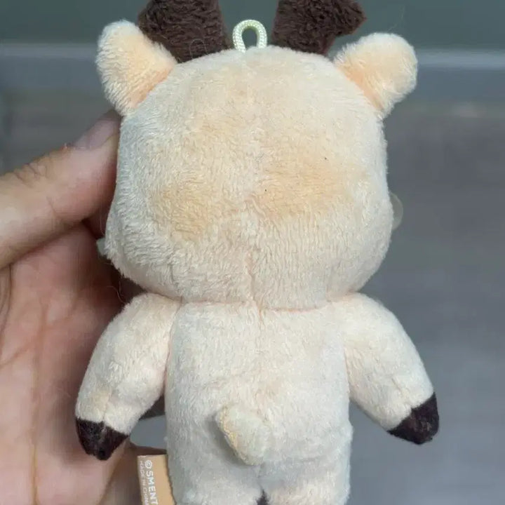 [BUNJANG] RIIZE Sungchan Urakbam Doll / 라이즈 성찬 우락밤 인형 판매