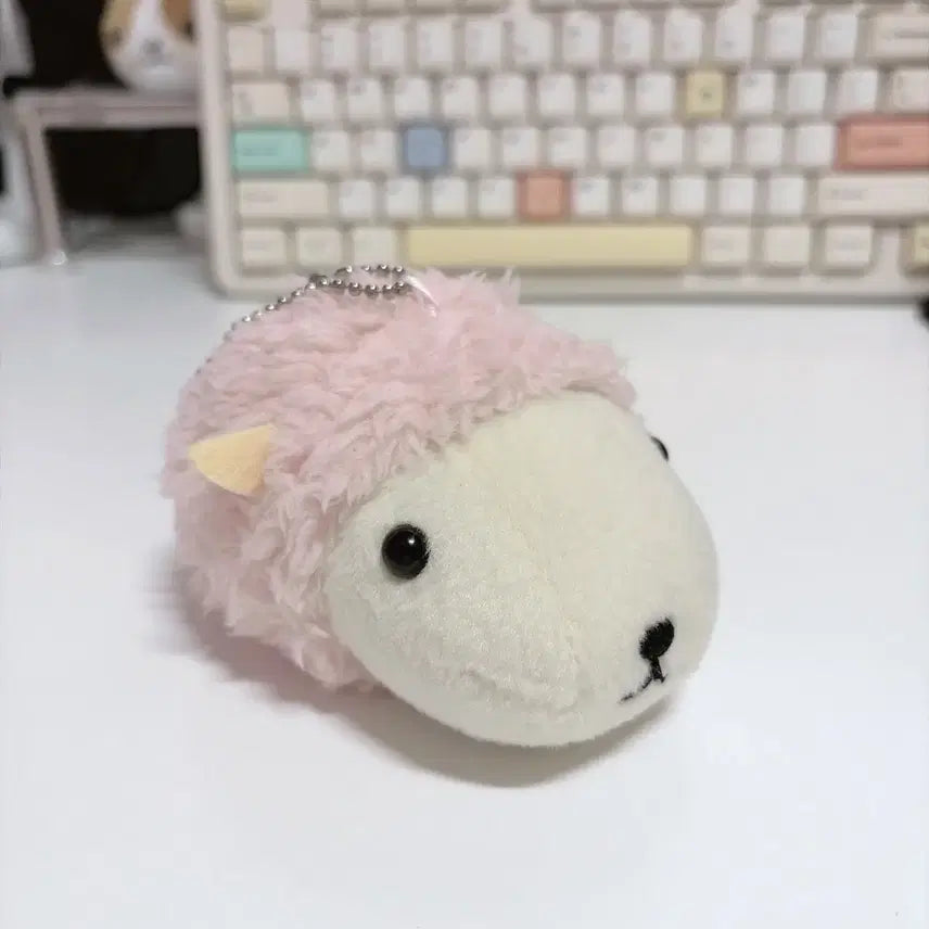 [BUNJANG] Capybara Plush Doll / 카피바라상 양인형