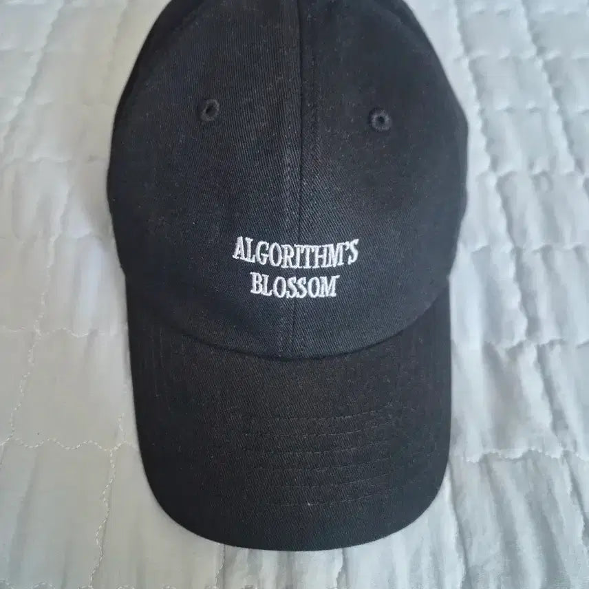 [BUNJANG] Algorithm Blossom Ball Cap - Black / qwer알고리즘 블라썸 볼캡 모자블랙 미착용