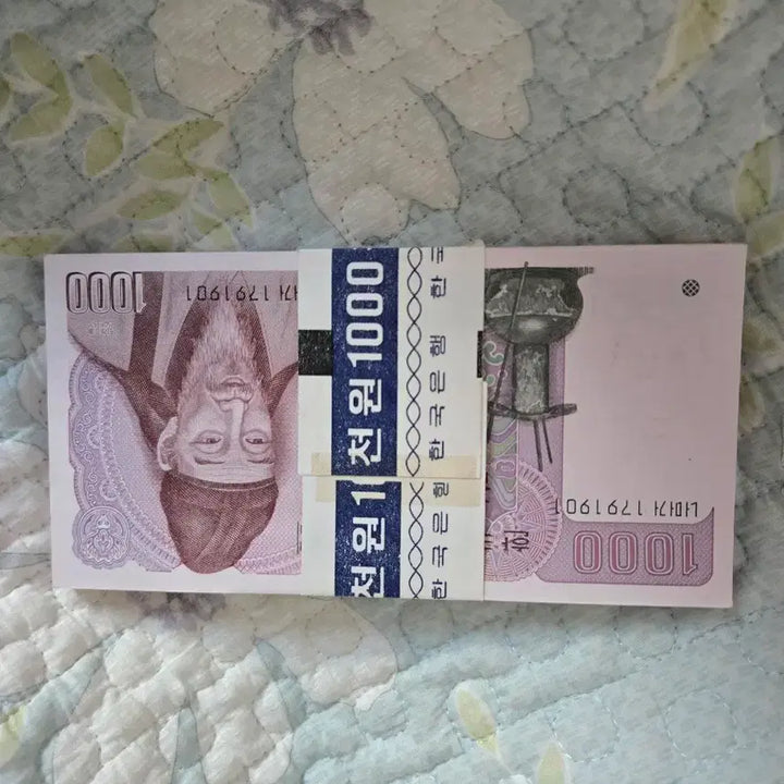 [BUNJANG] Old Korean Won Banknotes - 100 Count Bundle / 1000원 천원 구권 100장 묶음