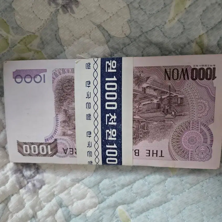 [BUNJANG] Old Korean Won Banknotes - 100 Count Bundle / 1000원 천원 구권 100장 묶음