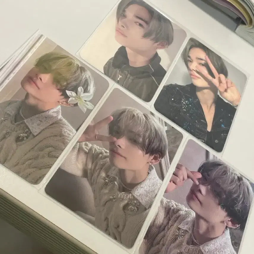 [BUNJANG] ENHYPEN NI-KI Sweet Venom Photocard Bundle Set / 엔하이픈니키 스윗베놈 포카 일괄 공방 애플뮤직 뮤코 유튜브 재팬럭드