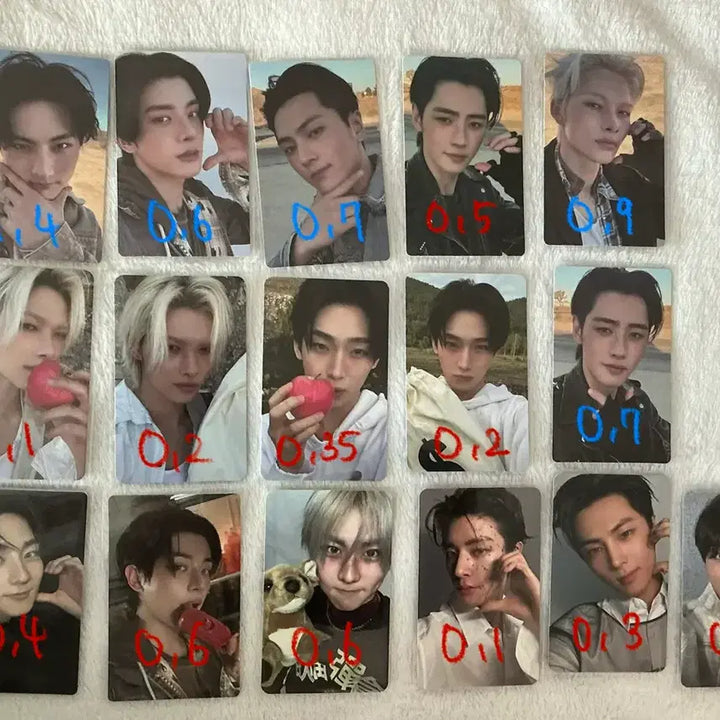[BUNJANG] Enhypen Photocard / 엔하이픈 포카