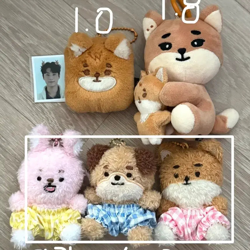 [BUNJANG] Day6 Merchandise Bundle / 데이식스 굿즈 원가이하 양도