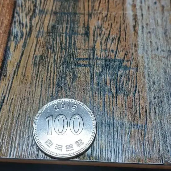 [BUNJANG] Bank of Korea 100 Won Coin / 한국은행 100원 동전