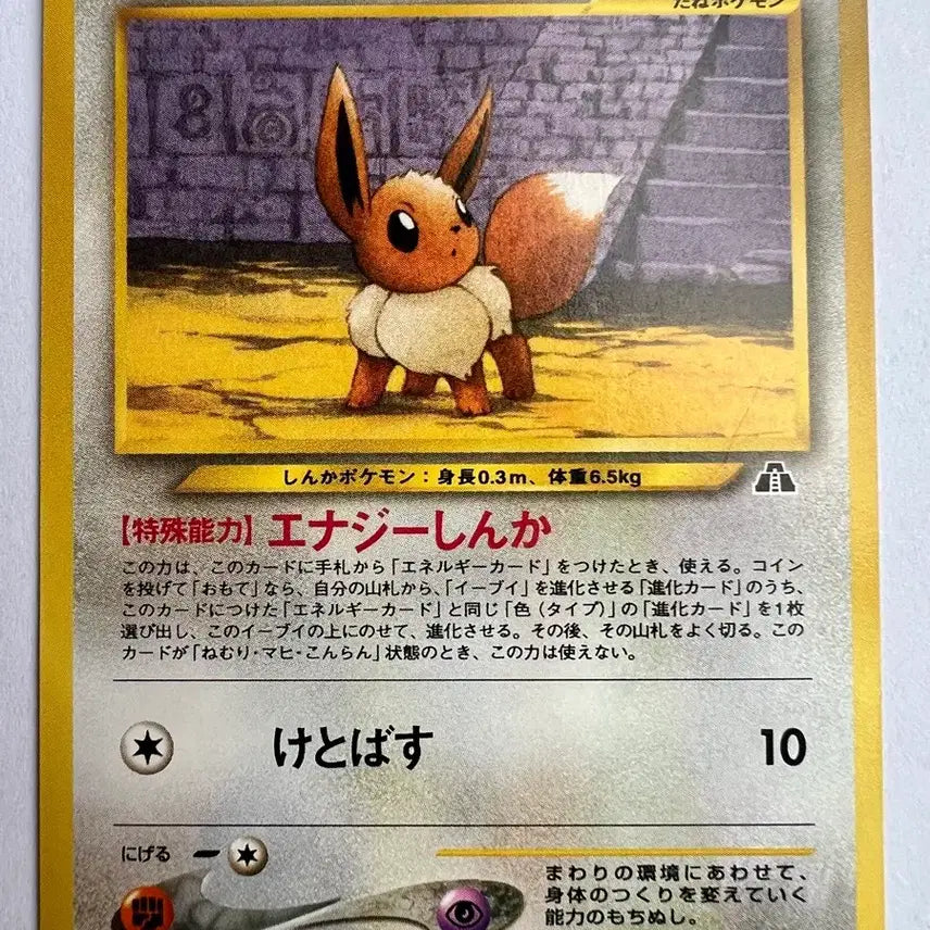 [BUNJANG] Japanese Limited Edition Eevee Promo &amp; North American Unown Cards with Opening Pack / 2000년 일본 한정판 초판 프로모 이브이, 북미 안농 카드들 및 개봉팩