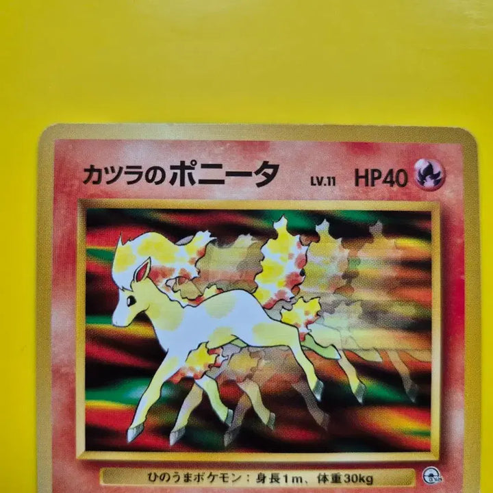[BUNJANG] Pokemon Card Ponyta 1996 1st Edition Limited First Print / 포켓몬카드 1996 포니타 날쌩마 ss급 팜 1차한정초판 1st 1ed