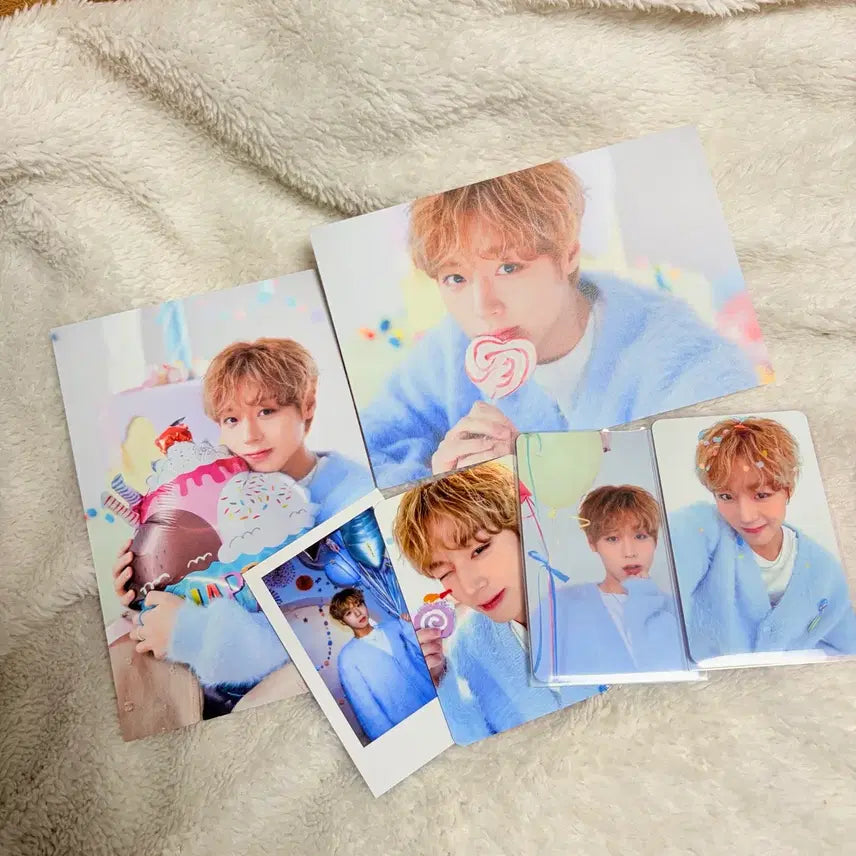 [BUNJANG] Park Jihoon 2025 Birthday Cafe Photocard Postcard Bundle Set / (급전,일괄)박지훈 2025 생일카페 포토카드 포카 엽서 일괄