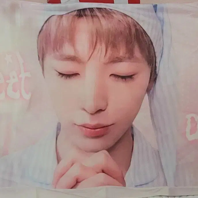 [BUNJANG] Yushi Studio Pillow Cover / 유우시 생카 베개커버 원가이하양도