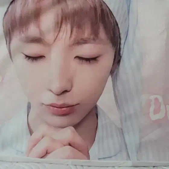 [BUNJANG] Yushi Studio Pillow Cover / 유우시 생카 베개커버 원가이하양도