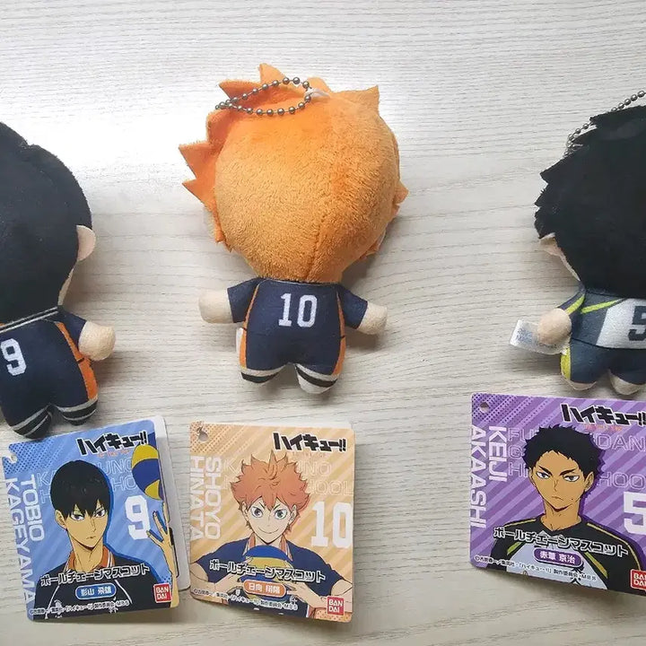 [BUNJANG] Haikyuu!! Plush Dolls Set / 하이큐 인형 팝니다!
