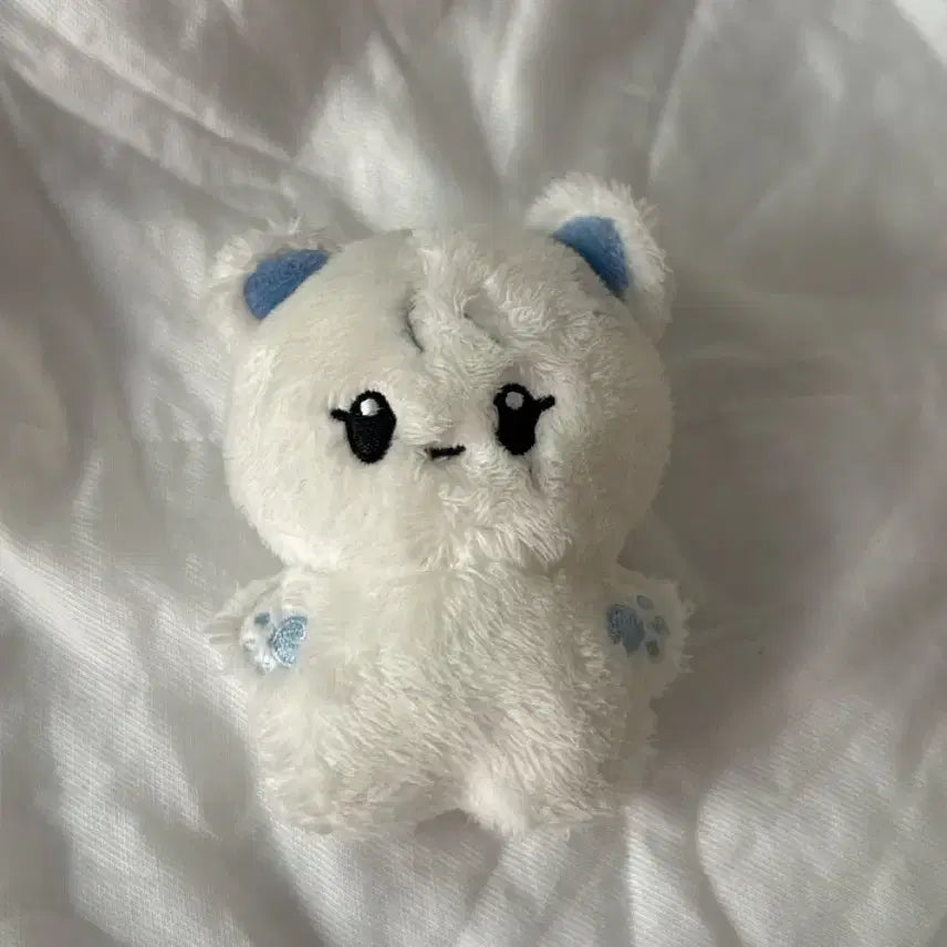 [BUNJANG] SEVENTEEN Seungkwan Boo Bear Doll / 승관 부베어