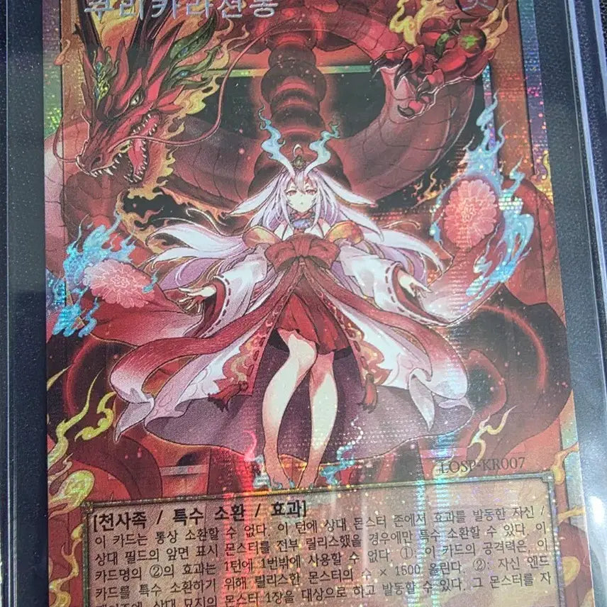 [BUNJANG] Yu-Gi-Oh! Legendary Collection Card Bundle Set / 리오컬 카드 일괄  판매