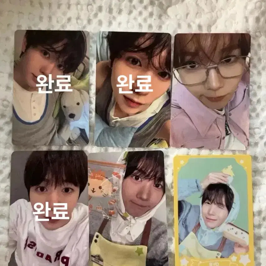 [BUNJANG] NCT WISH Ryo Bundle Set Photocard / 엔시티 위시 료 포카 일괄 판매