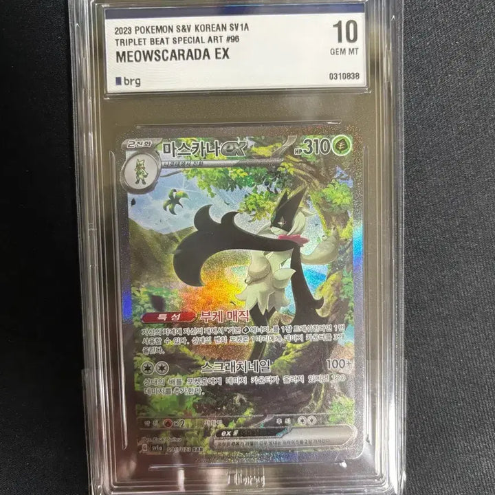 [BUNJANG] Card Set BRG Grade 10 / 마스카나 sar brg 10등급 팝니다.