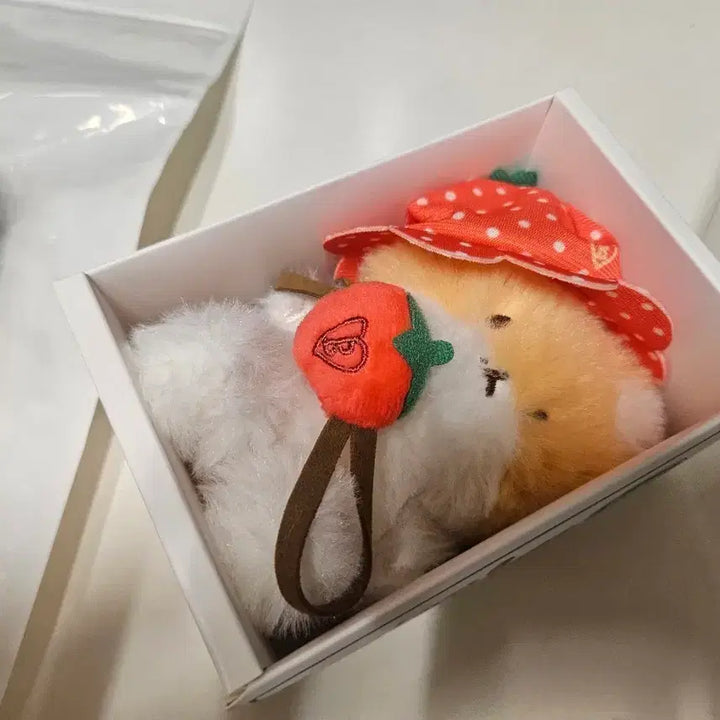 [BUNJANG] Baekhyun Strawberry Fluffy Plush / 백현 딸기 터래기