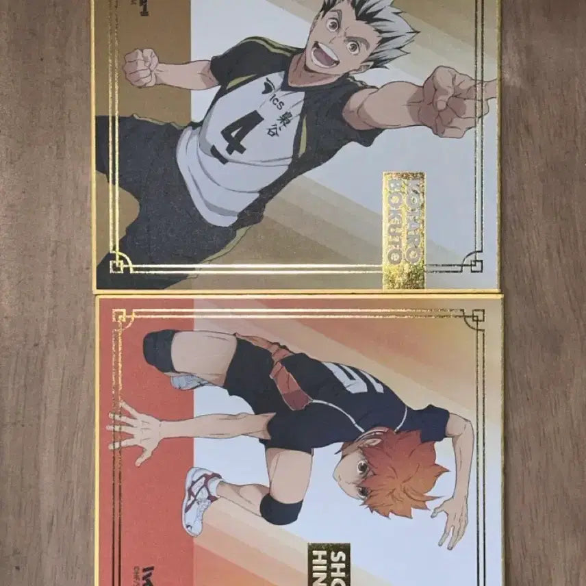 [BUNJANG] Haikyuu!! Bokuto Koutarou Hinata Shoyo Character Goods / 하이큐