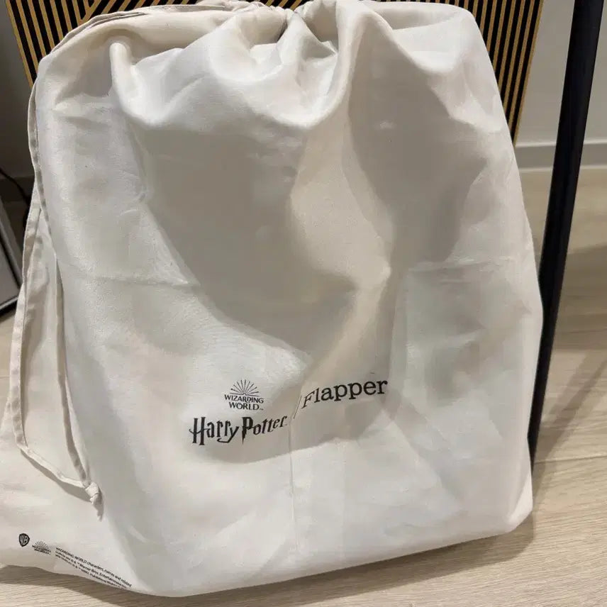 [BUNJANG] Warner Bros. Harry Potter Studio Slytherin Flapper Bag / 해리포터스튜디오 정품 슬리데린 FLAPPER 가방