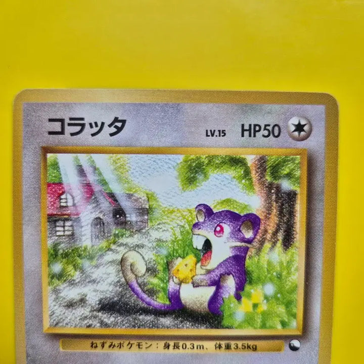 [BUNJANG] Pokemon Card 1996 Rare Swinub 1st Edition Japanese / 포켓몬카드 1996 극희소 꼬렛 초판 1st 1ed 일판 일본판