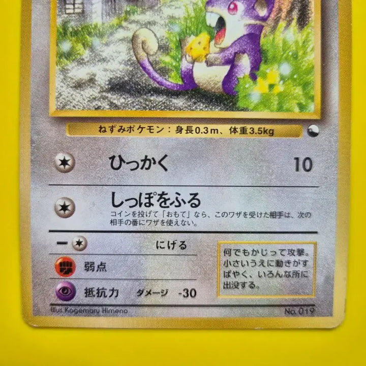 [BUNJANG] Pokemon Card 1996 Rare Swinub 1st Edition Japanese / 포켓몬카드 1996 극희소 꼬렛 초판 1st 1ed 일판 일본판
