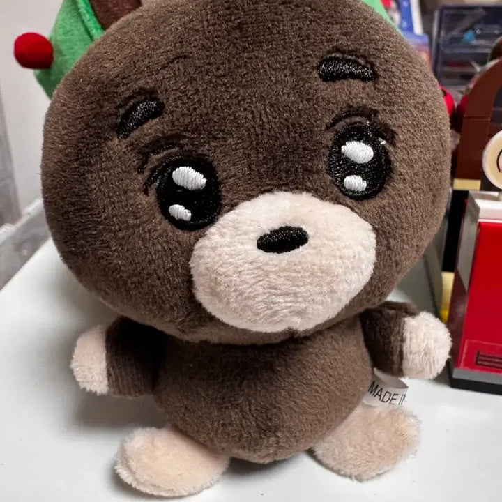 [BUNJANG] DAY6 Sungjin Dudungzi Plush Doll / 데이식스 성진 두떵지
