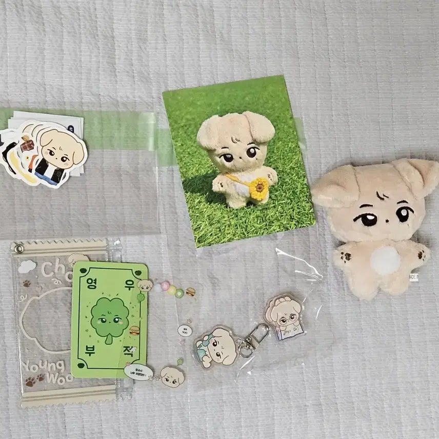 [BUNJANG] Chunadi Set / 추나디 세트 양도합니다