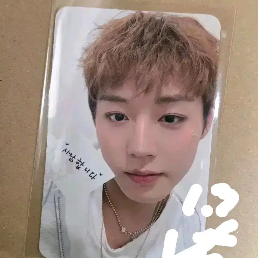 [BUNJANG] Park Jihoon Fancon MD Photocard / 박지훈 팬콘 MD 포토카드